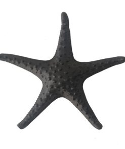 Cast Iron Starfish Bottle Opener